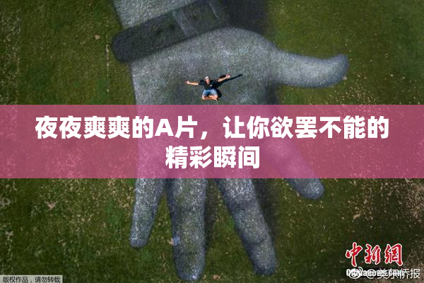 夜夜爽爽的A片，让你欲罢不能的精彩瞬间