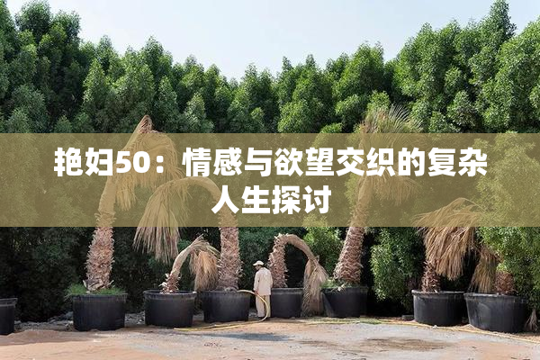 艳妇50：情感与欲望交织的复杂人生探讨