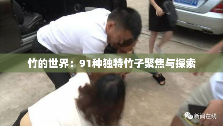 竹的世界：91种独特竹子聚焦与探索