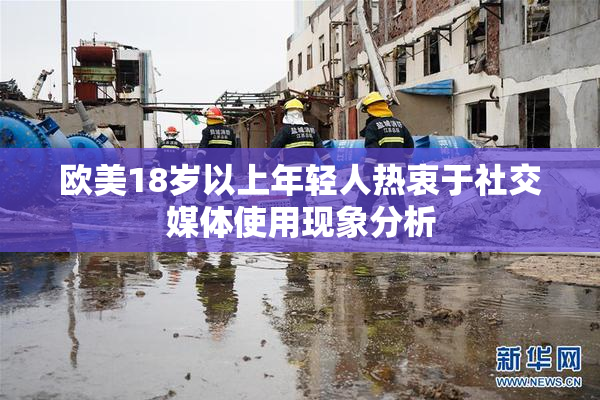 欧美18岁以上年轻人热衷于社交媒体使用现象分析