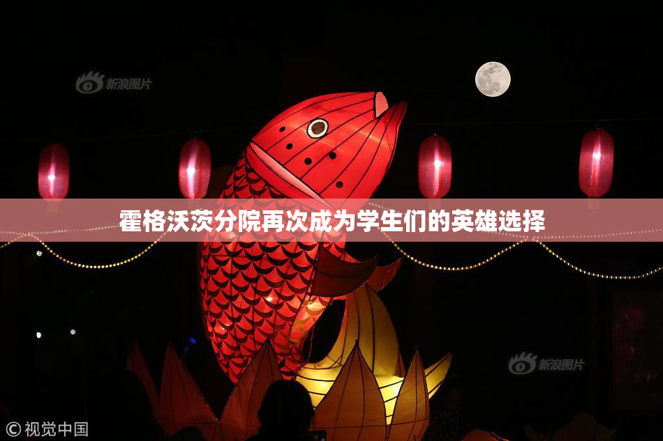 霍格沃茨分院再次成为学生们的英雄选择