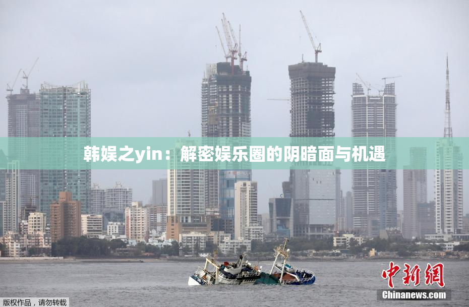 韩娱之yin：解密娱乐圈的阴暗面与机遇