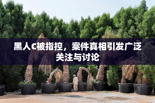 黑人C被指控，案件真相引发广泛关注与讨论