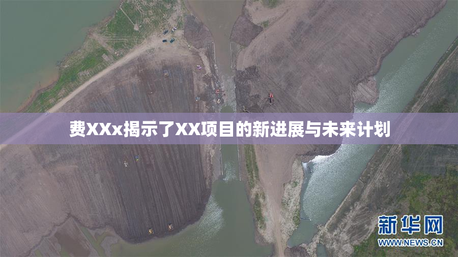 费XXx揭示了XX项目的新进展与未来计划