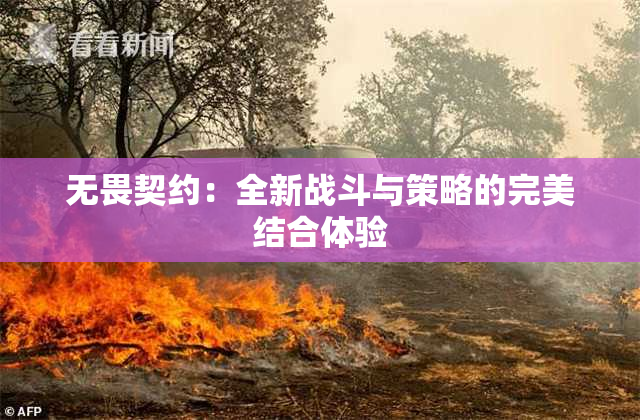 无畏契约：全新战斗与策略的完美结合体验