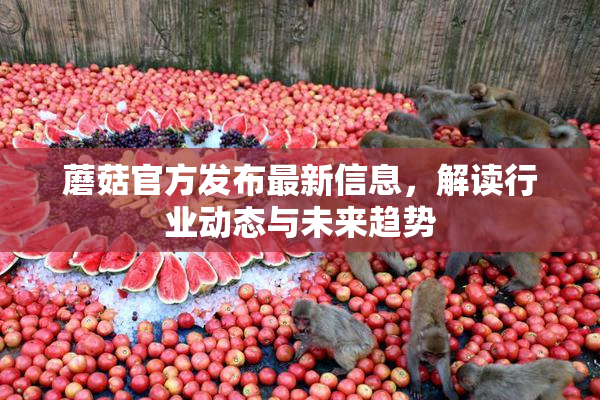 蘑菇官方发布最新信息，解读行业动态与未来趋势