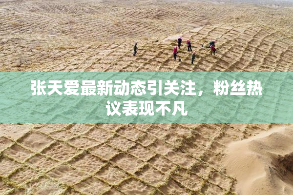 张天爱最新动态引关注，粉丝热议表现不凡