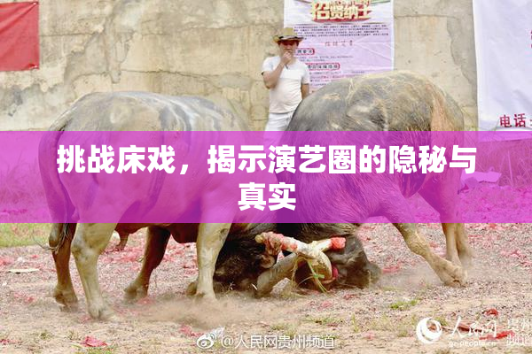 挑战床戏，揭示演艺圈的隐秘与真实