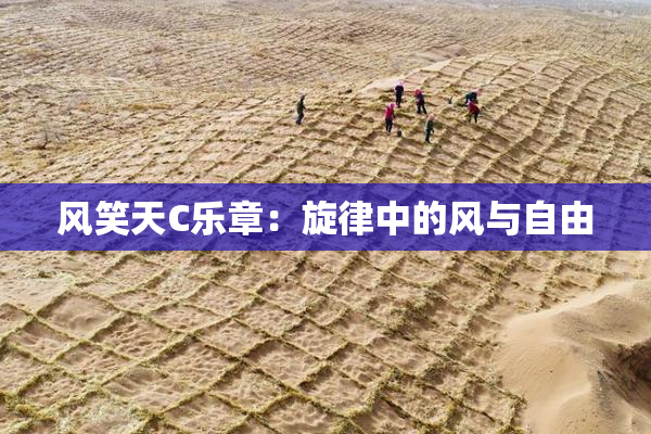 风笑天C乐章：旋律中的风与自由