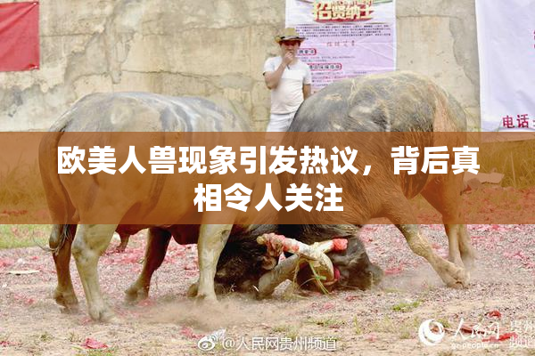 欧美人兽现象引发热议，背后真相令人关注
