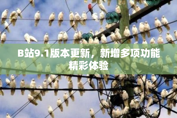 B站9.1版本更新，新增多项功能精彩体验