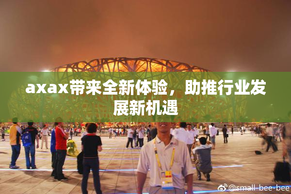 axax带来全新体验，助推行业发展新机遇