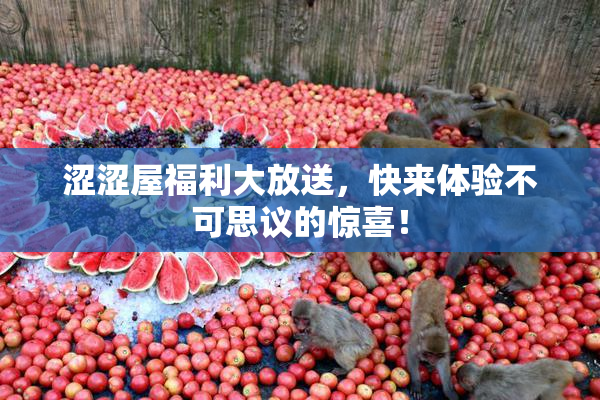 涩涩屋福利大放送，快来体验不可思议的惊喜！