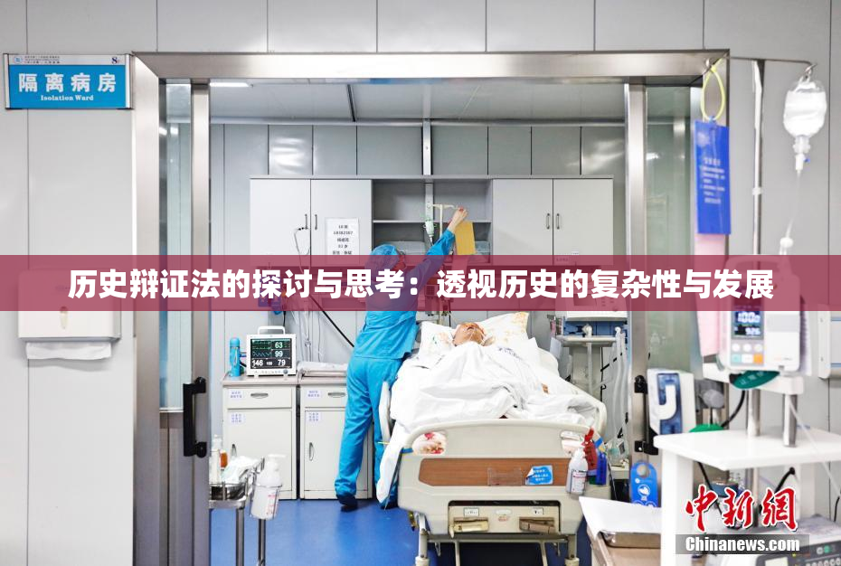 历史辩证法的探讨与思考：透视历史的复杂性与发展