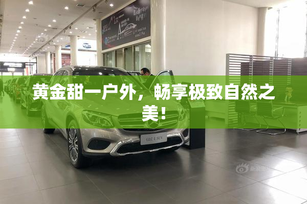 黄金甜一户外，畅享极致自然之美！