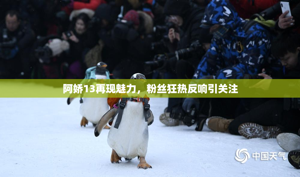 阿娇13再现魅力，粉丝狂热反响引关注