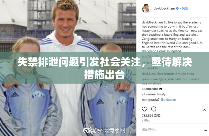 失禁排泄问题引发社会关注，亟待解决措施出台