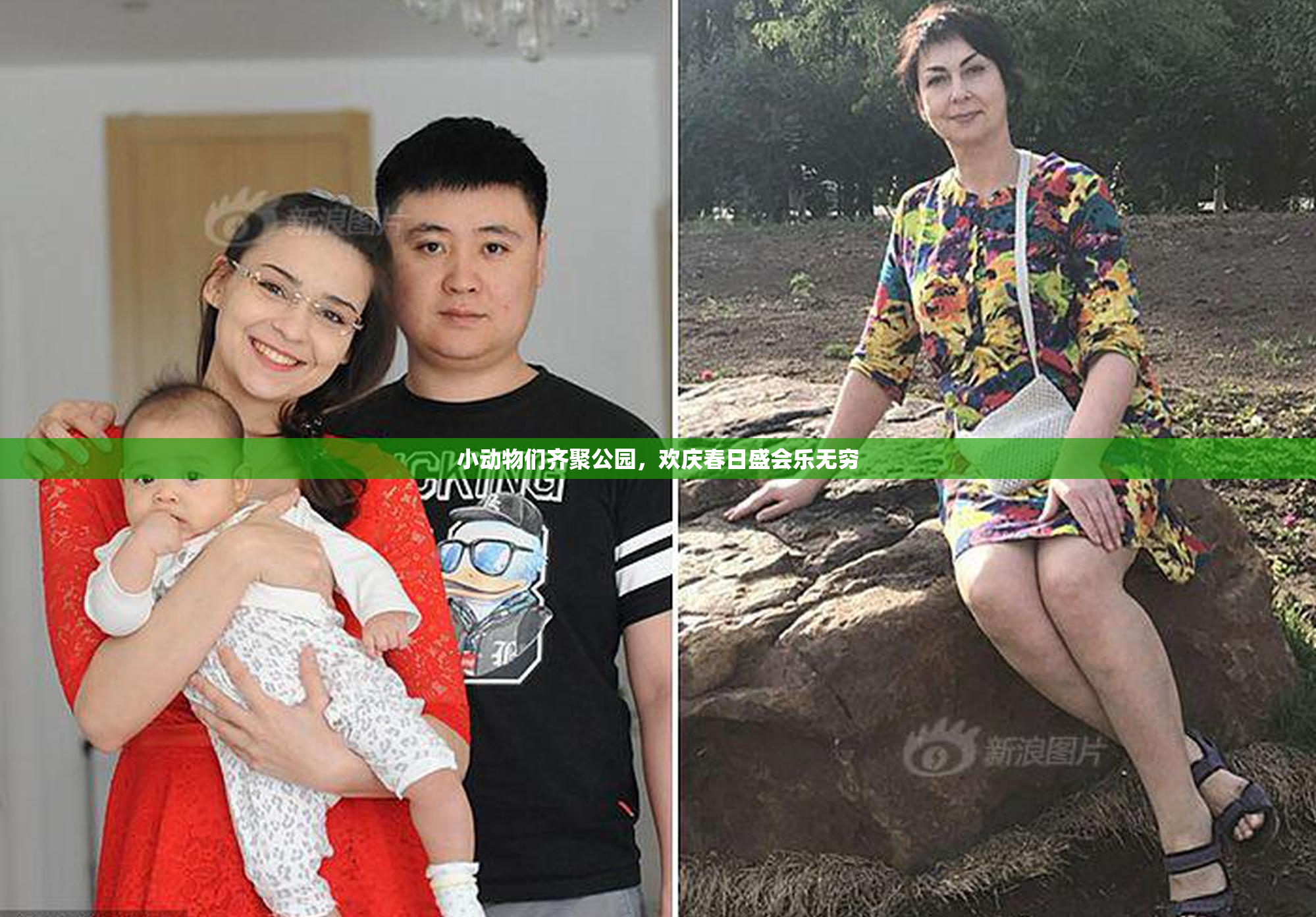 小动物们齐聚公园，欢庆春日盛会乐无穷