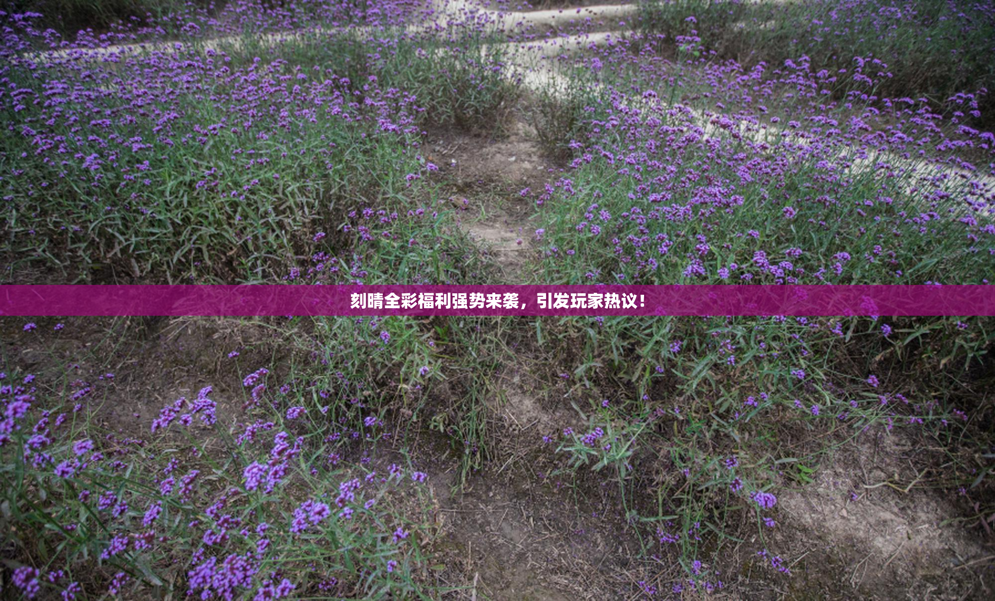 刻晴全彩福利强势来袭，引发玩家热议！