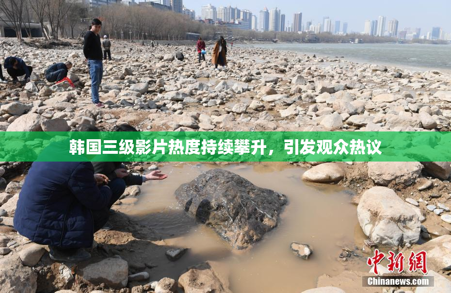 韩国三级影片热度持续攀升，引发观众热议