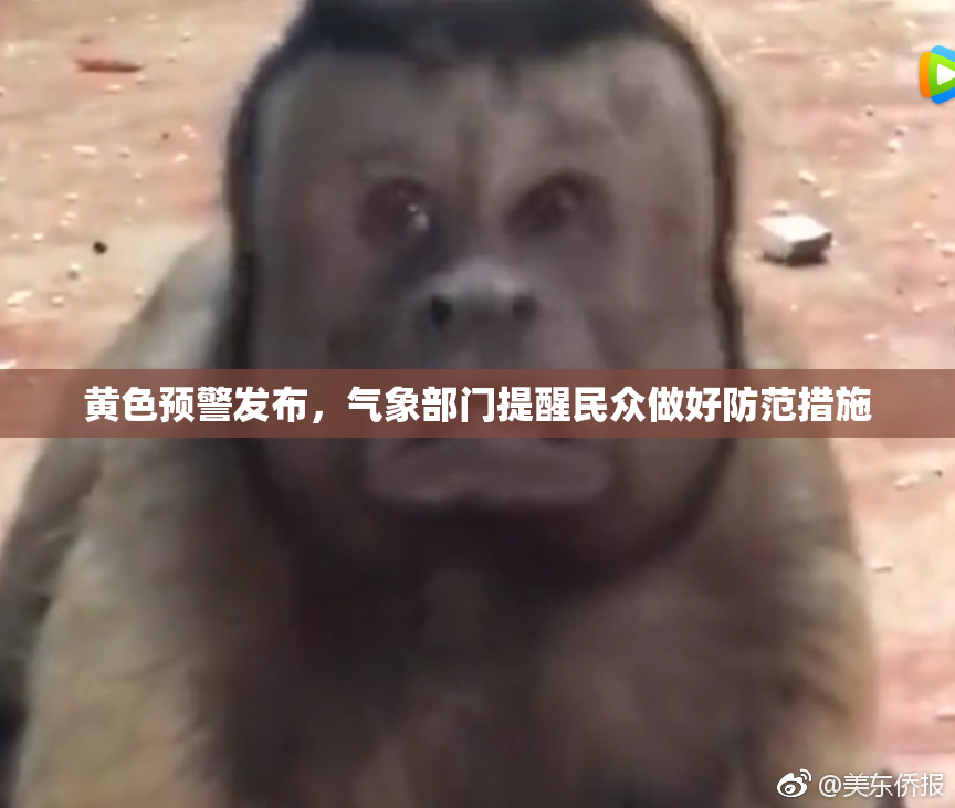 黄色预警发布，气象部门提醒民众做好防范措施