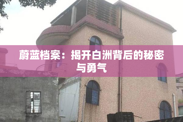 蔚蓝档案：揭开白洲背后的秘密与勇气