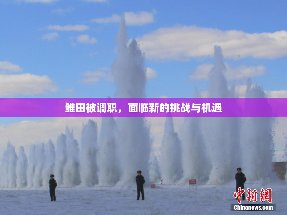 雏田被调职，面临新的挑战与机遇