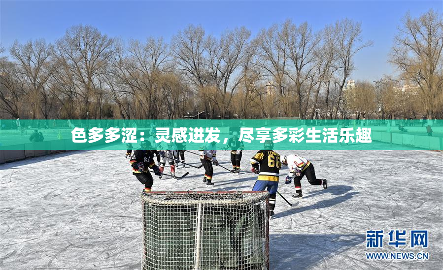 色多多涩：灵感迸发，尽享多彩生活乐趣