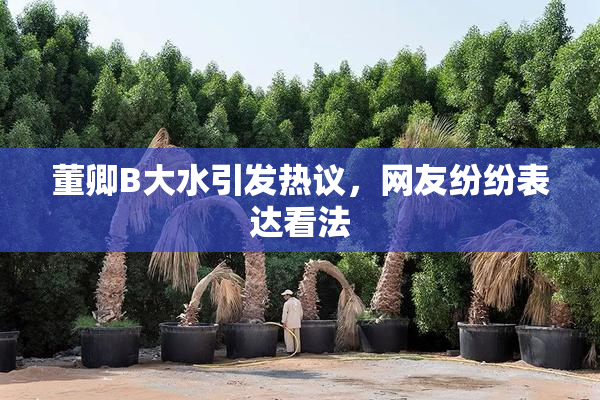 董卿B大水引发热议，网友纷纷表达看法