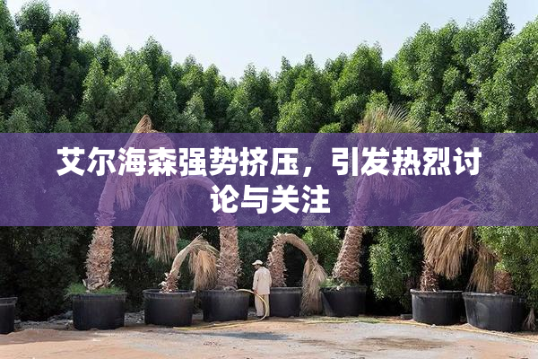 艾尔海森强势挤压，引发热烈讨论与关注