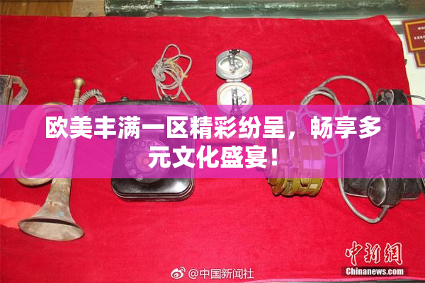 欧美丰满一区精彩纷呈，畅享多元文化盛宴！