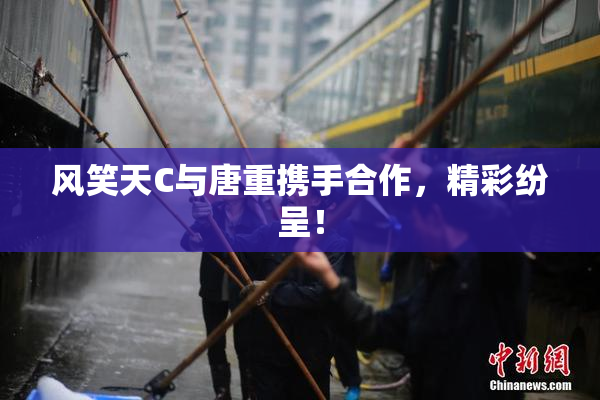 风笑天C与唐重携手合作，精彩纷呈！