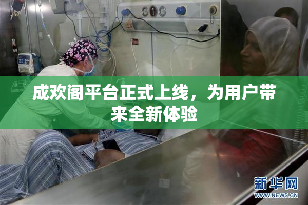 成欢阁平台正式上线，为用户带来全新体验