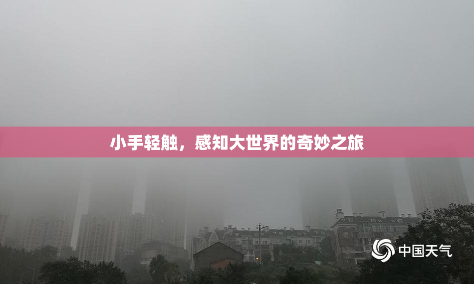 小手轻触，感知大世界的奇妙之旅