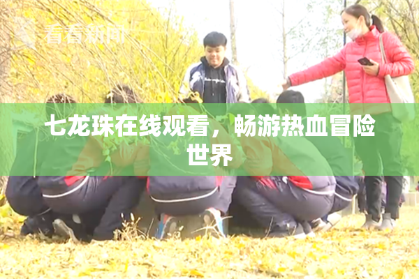 七龙珠在线观看，畅游热血冒险世界