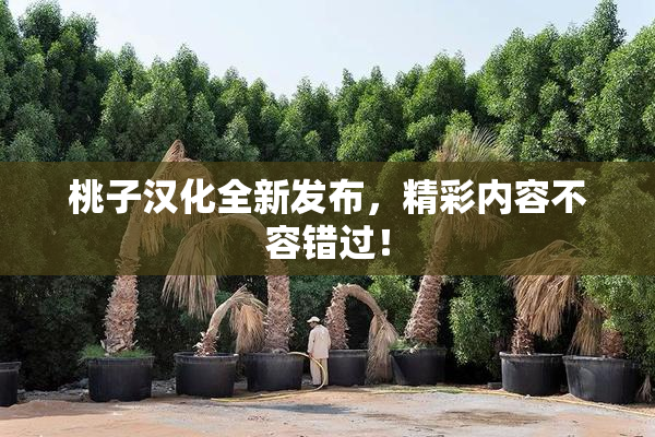桃子汉化全新发布，精彩内容不容错过！