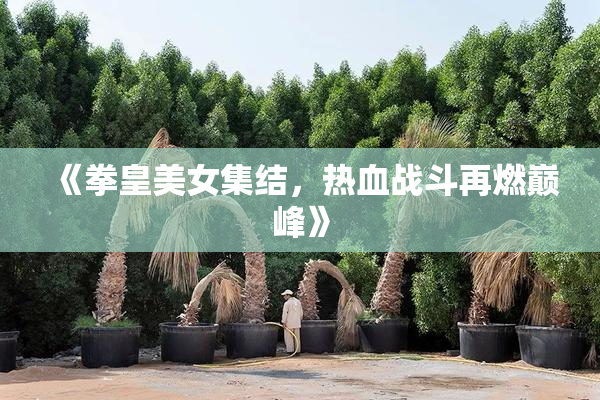 《拳皇美女集结，热血战斗再燃巅峰》
