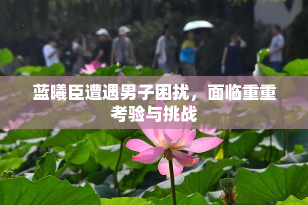 蓝曦臣遭遇男子困扰，面临重重考验与挑战