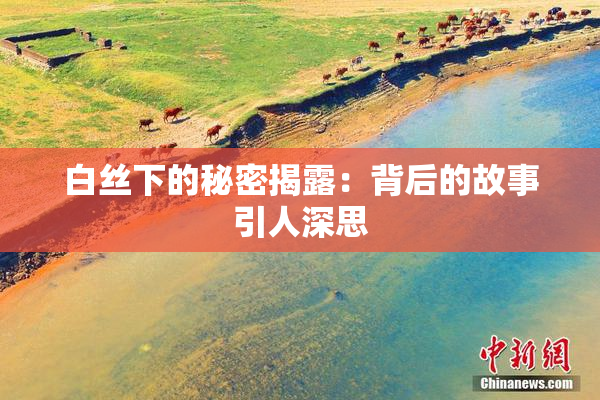 白丝下的秘密揭露：背后的故事引人深思