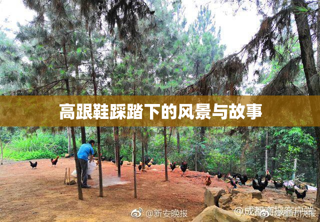 高跟鞋踩踏下的风景与故事