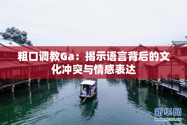 粗口调教Ga：揭示语言背后的文化冲突与情感表达