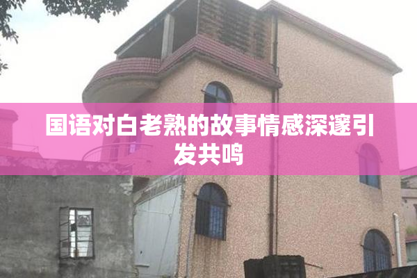 国语对白老熟的故事情感深邃引发共鸣