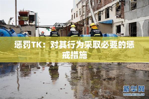 惩罚TK：对其行为采取必要的惩戒措施