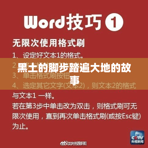 黑土的脚步踏遍大地的故事