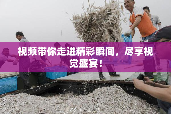 视频带你走进精彩瞬间，尽享视觉盛宴！