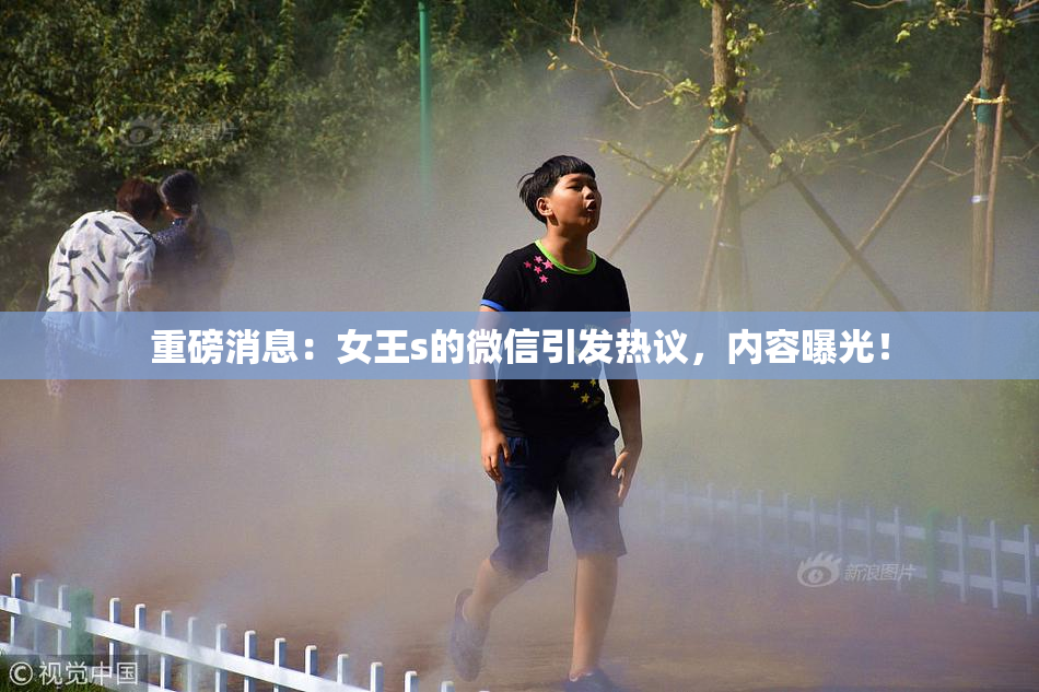 重磅消息：女王s的微信引发热议，内容曝光！