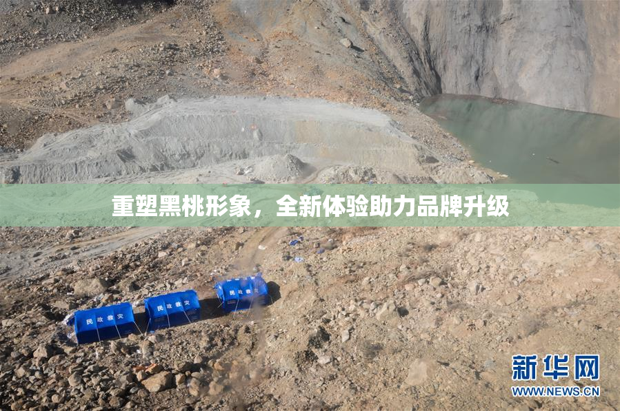 重塑黑桃形象，全新体验助力品牌升级
