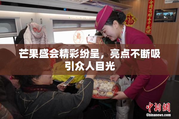芒果盛会精彩纷呈，亮点不断吸引众人目光