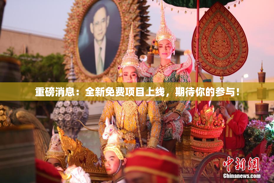 重磅消息：全新免费项目上线，期待你的参与！