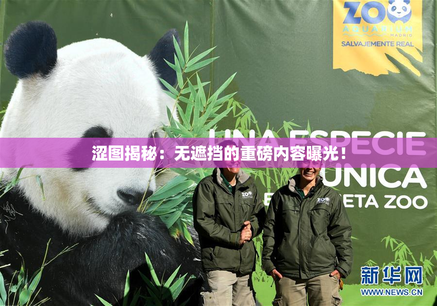 涩图揭秘：无遮挡的重磅内容曝光！
